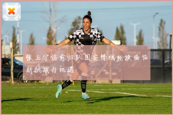 张玉宁伤愈归队国安锋线轮换面临新挑战与机遇